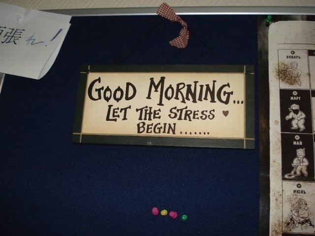 Bildschirmarbeiter - Picdump 01.01.2010