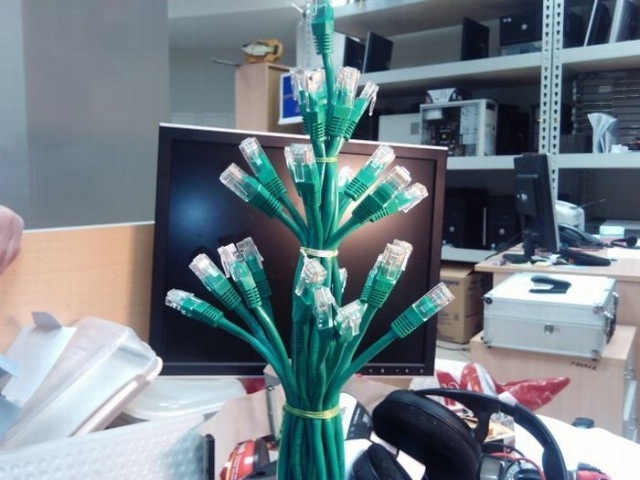 Bildschirmarbeiter - Picdump 01.01.2010