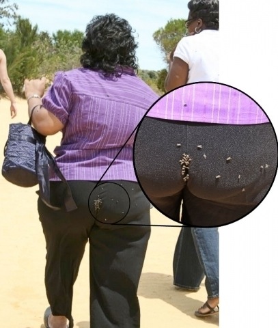 Bildschirmarbeiter - Picdump 08.01.2010