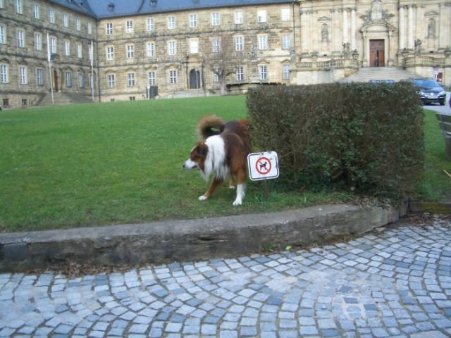 Bildschirmarbeiter - Picdump 08.01.2010