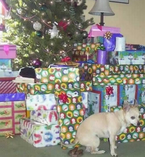 Bildschirmarbeiter - Picdump 08.01.2010