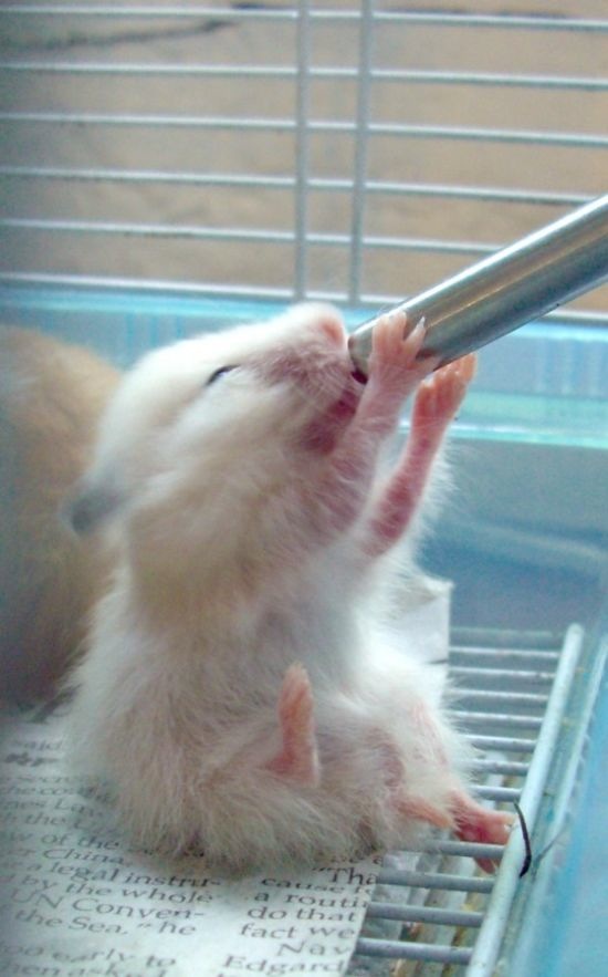 Bildschirmarbeiter - Picdump 08.01.2010