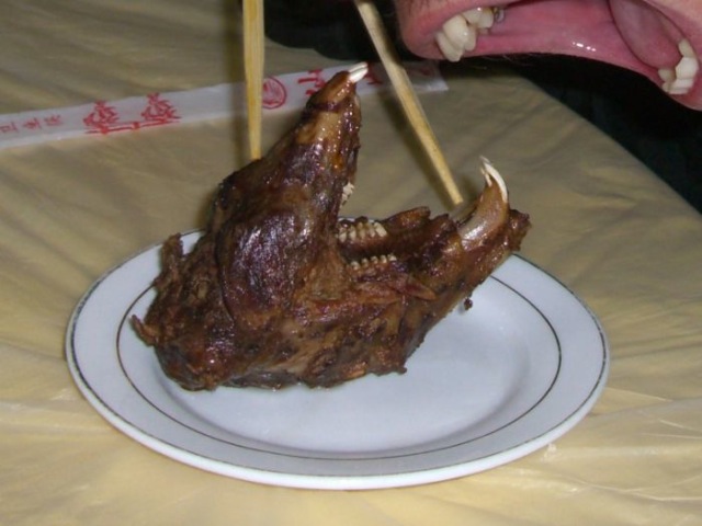 Bildschirmarbeiter - Picdump 08.01.2010