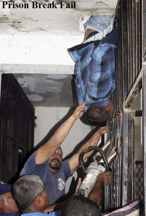 Bildschirmarbeiter - Picdump 15.01.2010