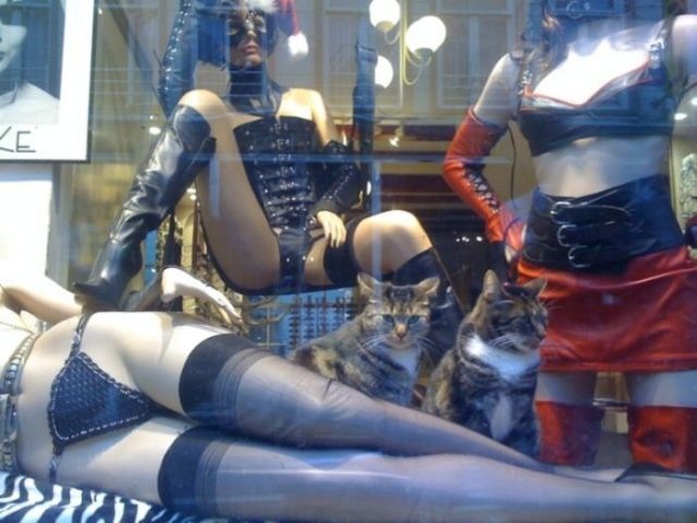 Bildschirmarbeiter - Picdump 15.01.2010