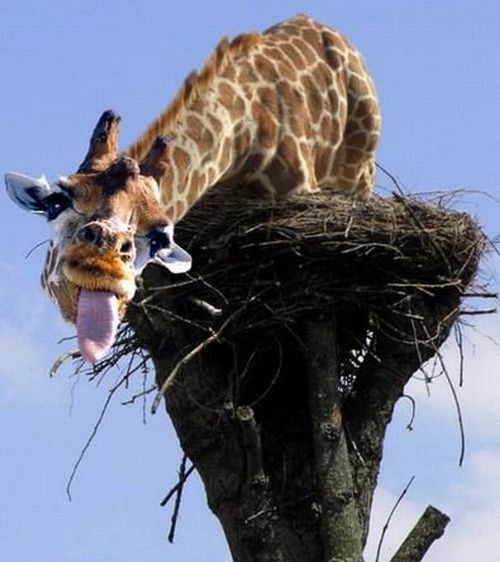 Bildschirmarbeiter - Picdump 15.01.2010