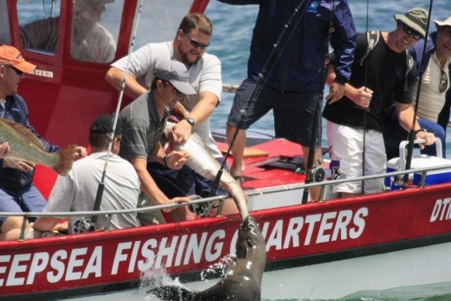 Bildschirmarbeiter - Picdump 15.01.2010