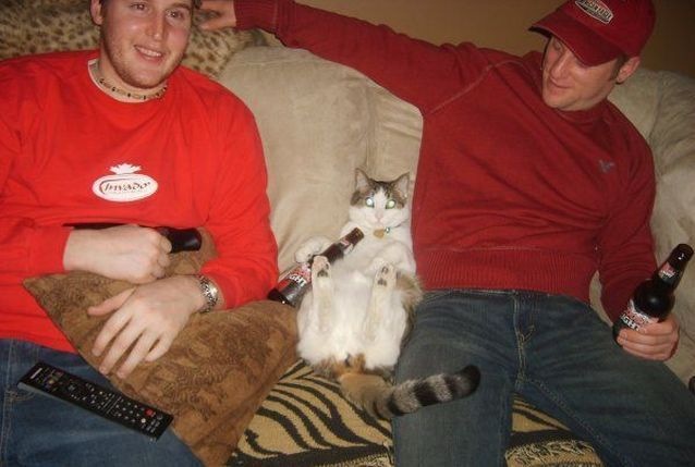 Bildschirmarbeiter - Picdump 15.01.2010