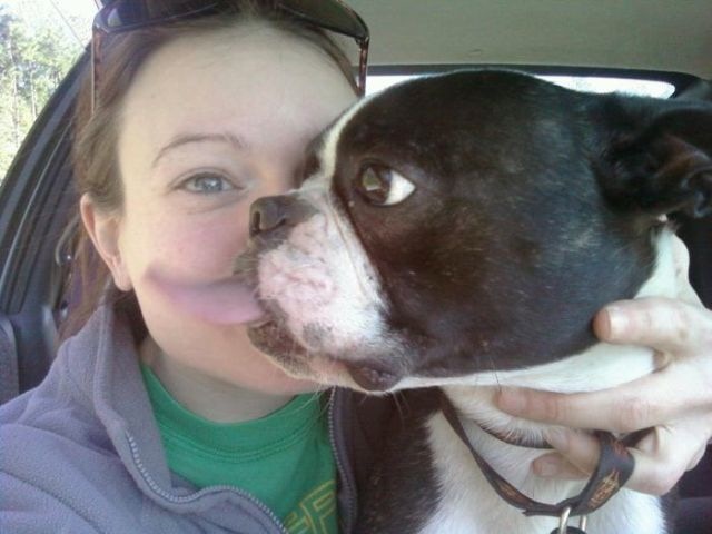 Bildschirmarbeiter - Picdump 15.01.2010