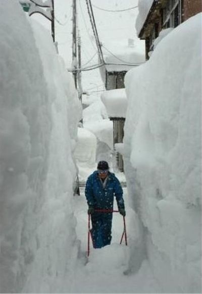 Bildschirmarbeiter - Picdump 15.01.2010