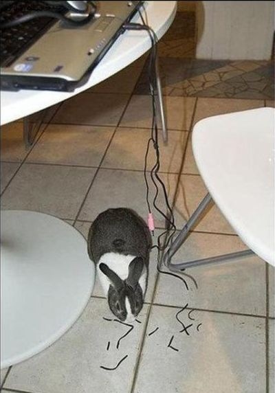 Bildschirmarbeiter - Picdump 15.01.2010