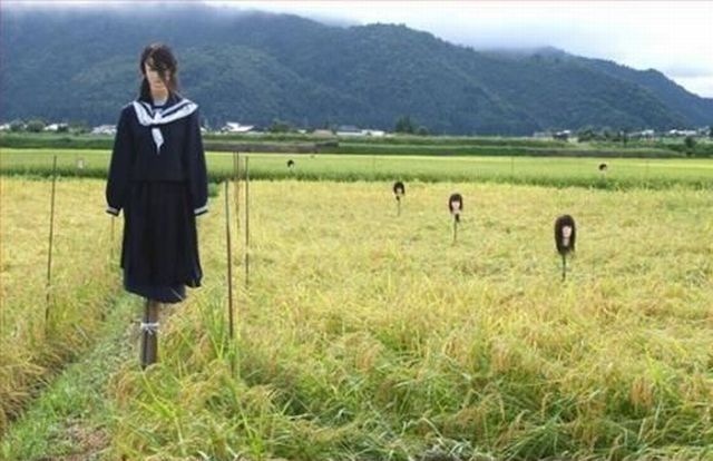 Bildschirmarbeiter - Picdump 22.01.2010