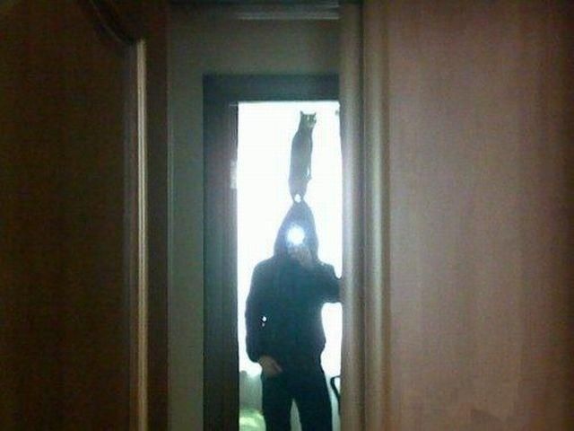 Bildschirmarbeiter - Picdump 22.01.2010