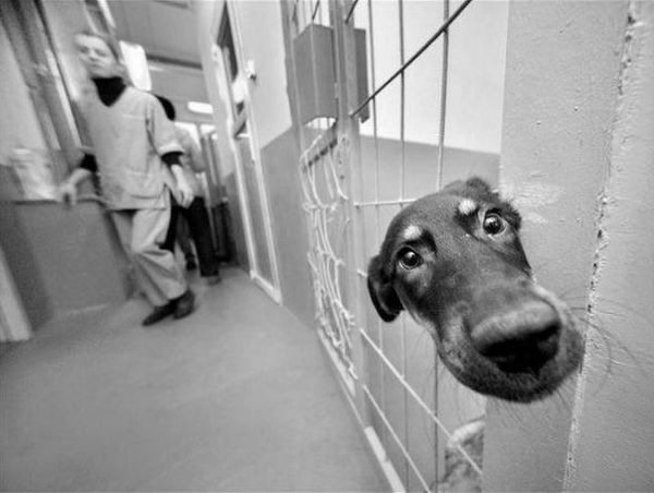 Bildschirmarbeiter - Picdump 29.01.2010