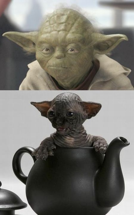 Bildschirmarbeiter - Picdump 29.01.2010