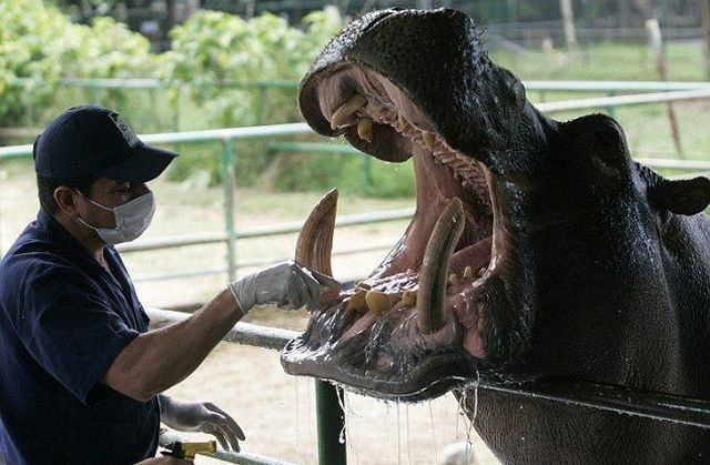 Bildschirmarbeiter - Picdump 29.01.2010