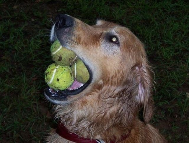 Bildschirmarbeiter - Picdump 29.01.2010