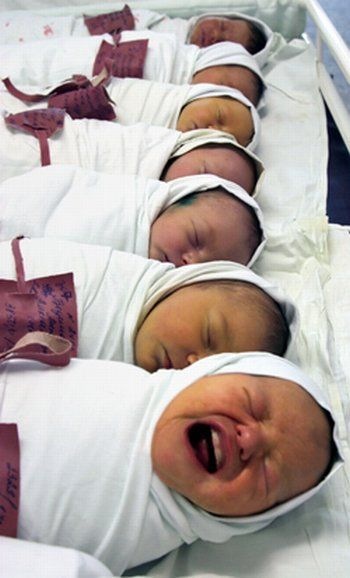 Bildschirmarbeiter - Picdump 05.02.2010