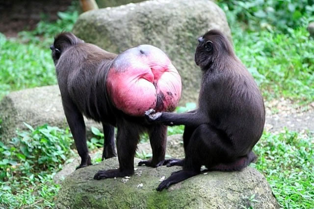 Bildschirmarbeiter - Picdump 05.02.2010