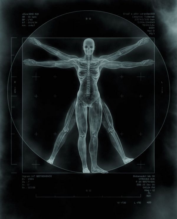 Bildschirmarbeiter - Picdump 05.02.2010