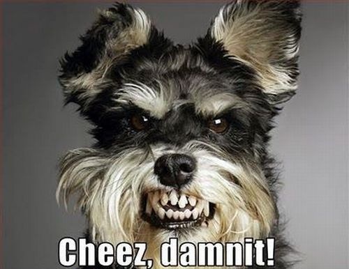 Bildschirmarbeiter - Picdump 05.02.2010