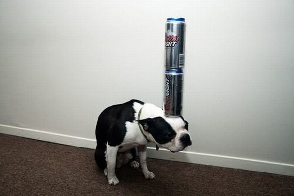 Bildschirmarbeiter - Picdump 05.02.2010