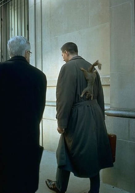 Bildschirmarbeiter - Picdump 05.02.2010