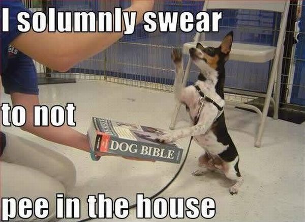 Bildschirmarbeiter - Picdump 05.02.2010