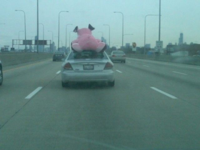 Bildschirmarbeiter - Picdump 12.02.2010