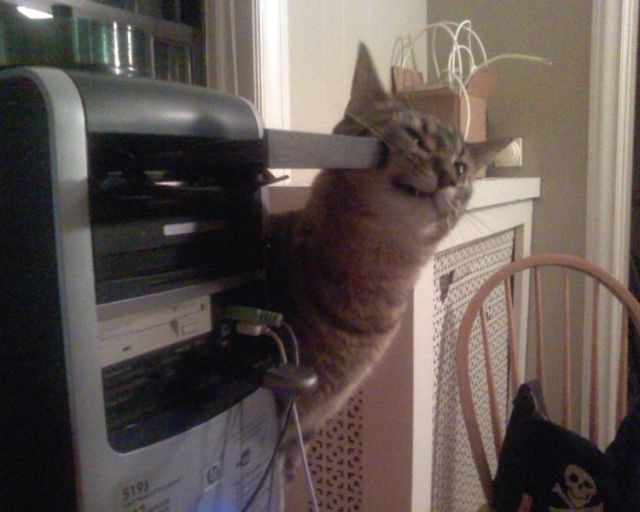 Bildschirmarbeiter - Picdump 12.02.2010