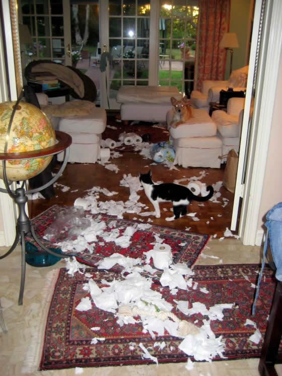 Bildschirmarbeiter - Picdump 12.02.2010