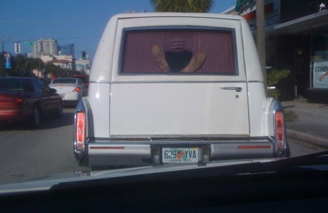 Bildschirmarbeiter - Picdump 12.02.2010