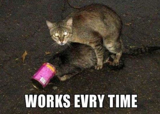 Bildschirmarbeiter - Picdump 12.02.2010