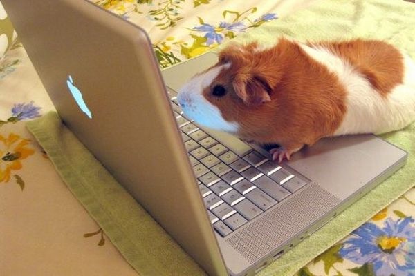 Bildschirmarbeiter - Picdump 26.02.2010