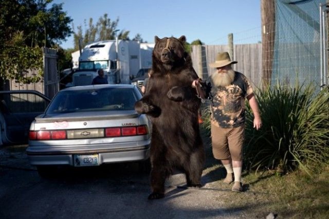 Bildschirmarbeiter - Picdump 26.02.2010