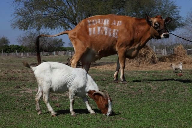 Bildschirmarbeiter - Picdump 26.02.2010