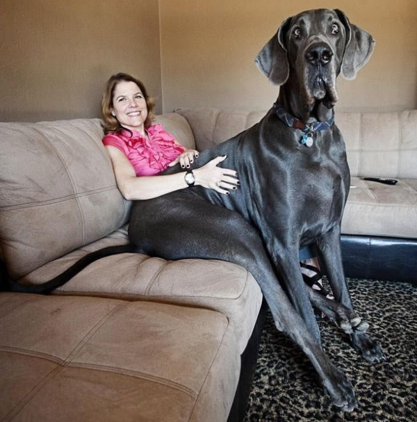 Bildschirmarbeiter - Picdump 26.02.2010