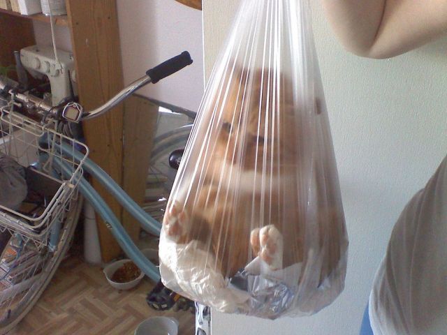 Bildschirmarbeiter - Picdump 05.03.2010