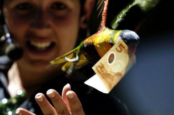 Bildschirmarbeiter - Picdump 05.03.2010