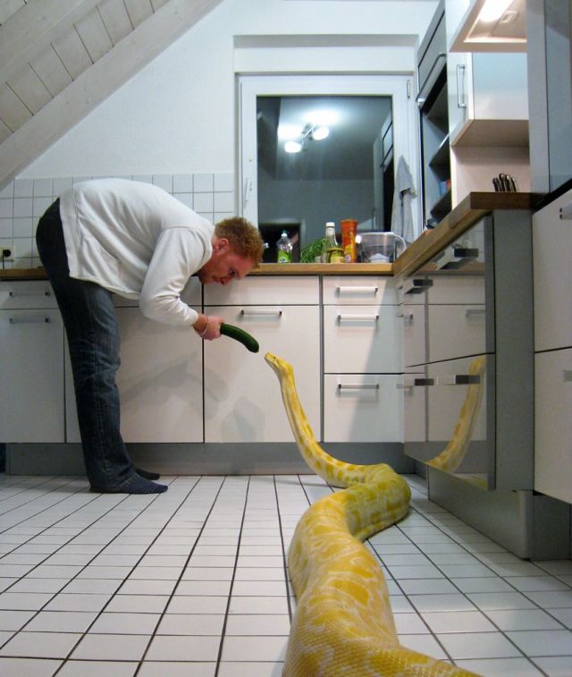 Bildschirmarbeiter - Picdump 05.03.2010