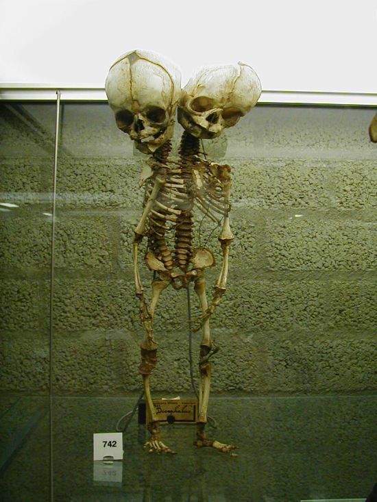 Bildschirmarbeiter - Picdump 05.03.2010