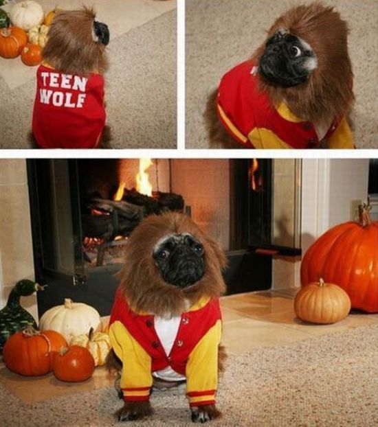 Bildschirmarbeiter - Picdump 05.03.2010