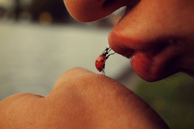 Bildschirmarbeiter - Picdump 05.03.2010