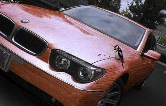 Bildschirmarbeiter - Picdump 12.03.2010