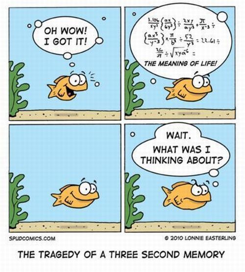 Bildschirmarbeiter - Picdump 12.03.2010