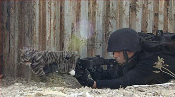 Bildschirmarbeiter - Picdump 12.03.2010