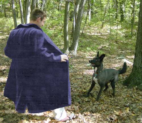 Bildschirmarbeiter - Picdump 12.03.2010