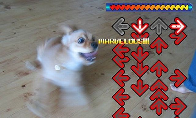 Bildschirmarbeiter - Picdump 09.04.2010