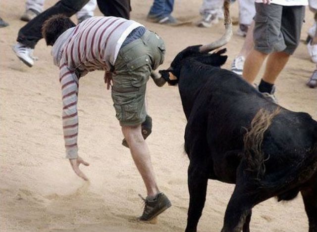 Bildschirmarbeiter - Picdump 09.04.2010