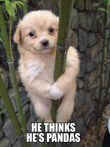 Bildschirmarbeiter - Picdump 09.04.2010